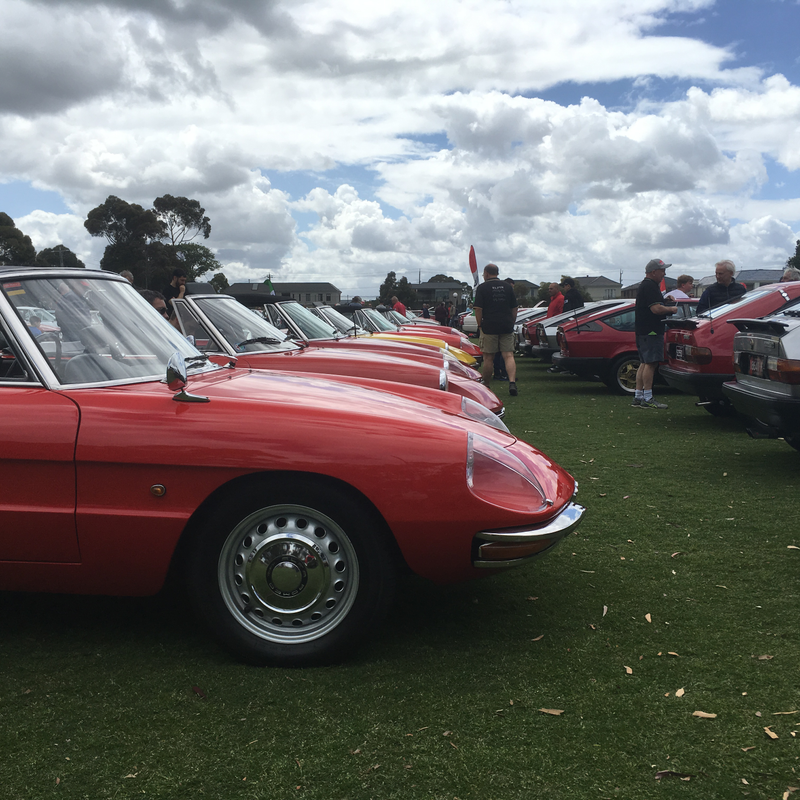Illustration for article titled Alfa car show pic dump